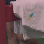 MINI Magic Towel - anthrazit